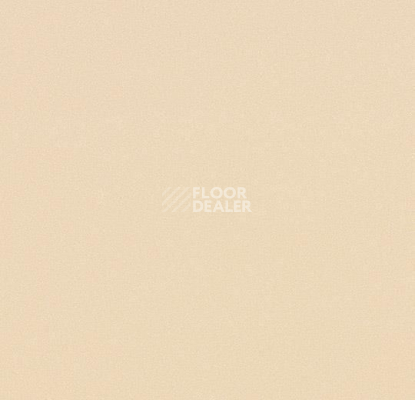 Линолеум Forbo Modul'up Compact Colour 4803UP43C vanilla stardust фото 1 | FLOORDEALER